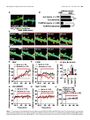Thumbnail for version as of 06:18, 11 April 2026