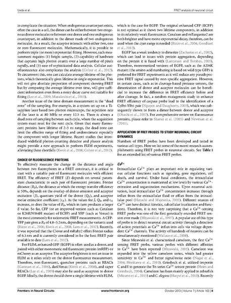 File:Page8-687px-Ueda Front Neural Circuits.pdf.jpg