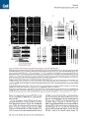 Thumbnail for version as of 06:18, 11 April 2026
