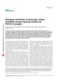 Thumbnail for version as of 06:17, 11 April 2026