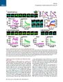 Thumbnail for version as of 06:18, 11 April 2026