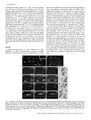 Thumbnail for version as of 06:18, 11 April 2026