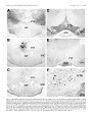 Thumbnail for version as of 06:17, 11 April 2026