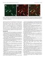 Thumbnail for version as of 06:17, 11 April 2026