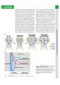 Thumbnail for version as of 06:18, 11 April 2026