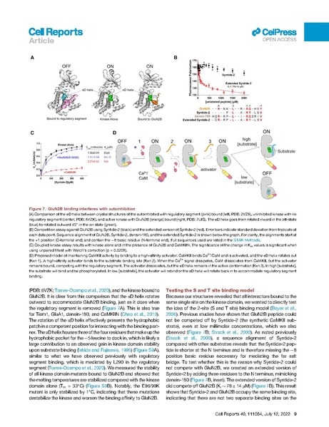 File:Ozden Cell Rep 2022.pdf