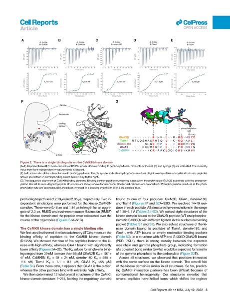File:Ozden Cell Rep 2022.pdf