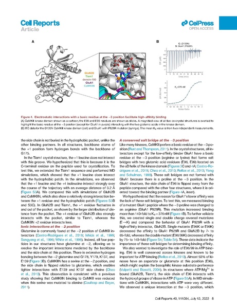 File:Ozden Cell Rep 2022.pdf