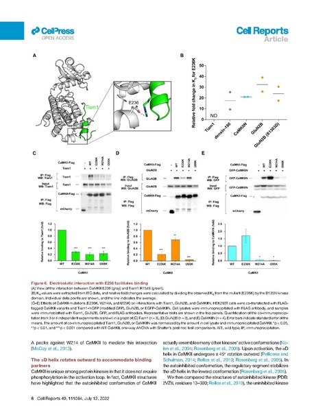 File:Ozden Cell Rep 2022.pdf