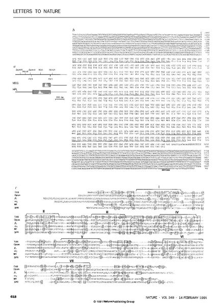 File:Page2-877px-Hirata Nature.pdf.jpg