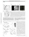 Thumbnail for version as of 06:17, 11 April 2026