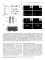Thumbnail for version as of 06:18, 11 April 2026