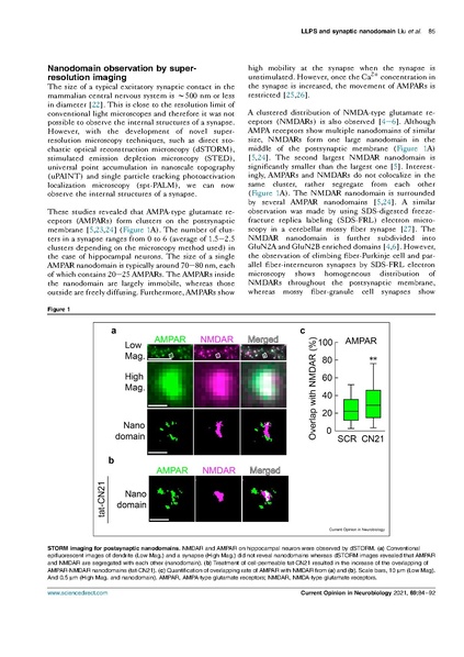 ファイル:Liu Hosokawa Curr Opin Neurobiol 2021.pdf