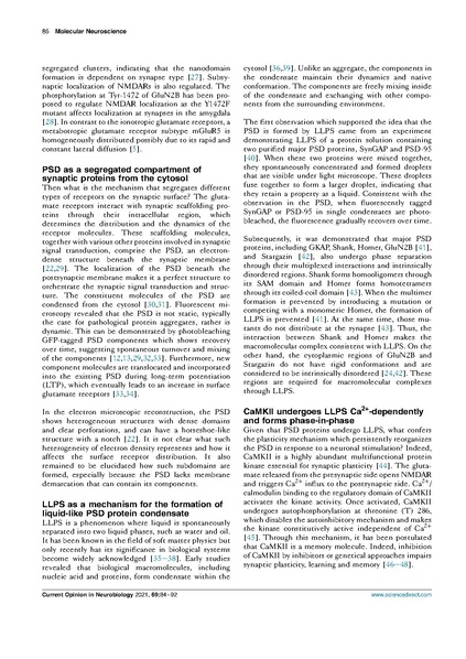 ファイル:Liu Hosokawa Curr Opin Neurobiol 2021.pdf
