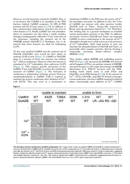 ファイル:Liu Hosokawa Curr Opin Neurobiol 2021.pdf