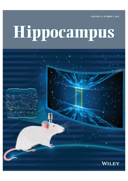 File:Mizuta Hippocampus 2021.pdf