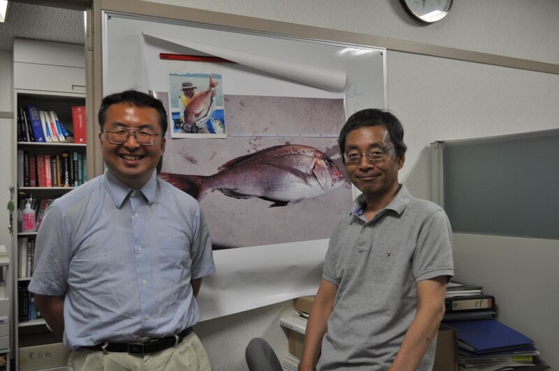 File:2013-8-23 Fukui University with Dr Yokota.jpg